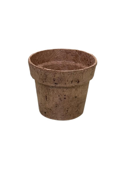 Coir Pot - Image 3