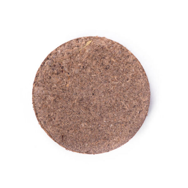 Cocopeat Plain Coin